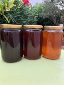 WhatsApp Image 2025 03 06 à 15.13.42 D861914d