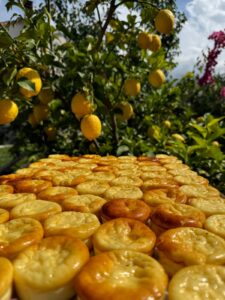 WhatsApp Image 2025 03 06 à 15.14.28 62aae040